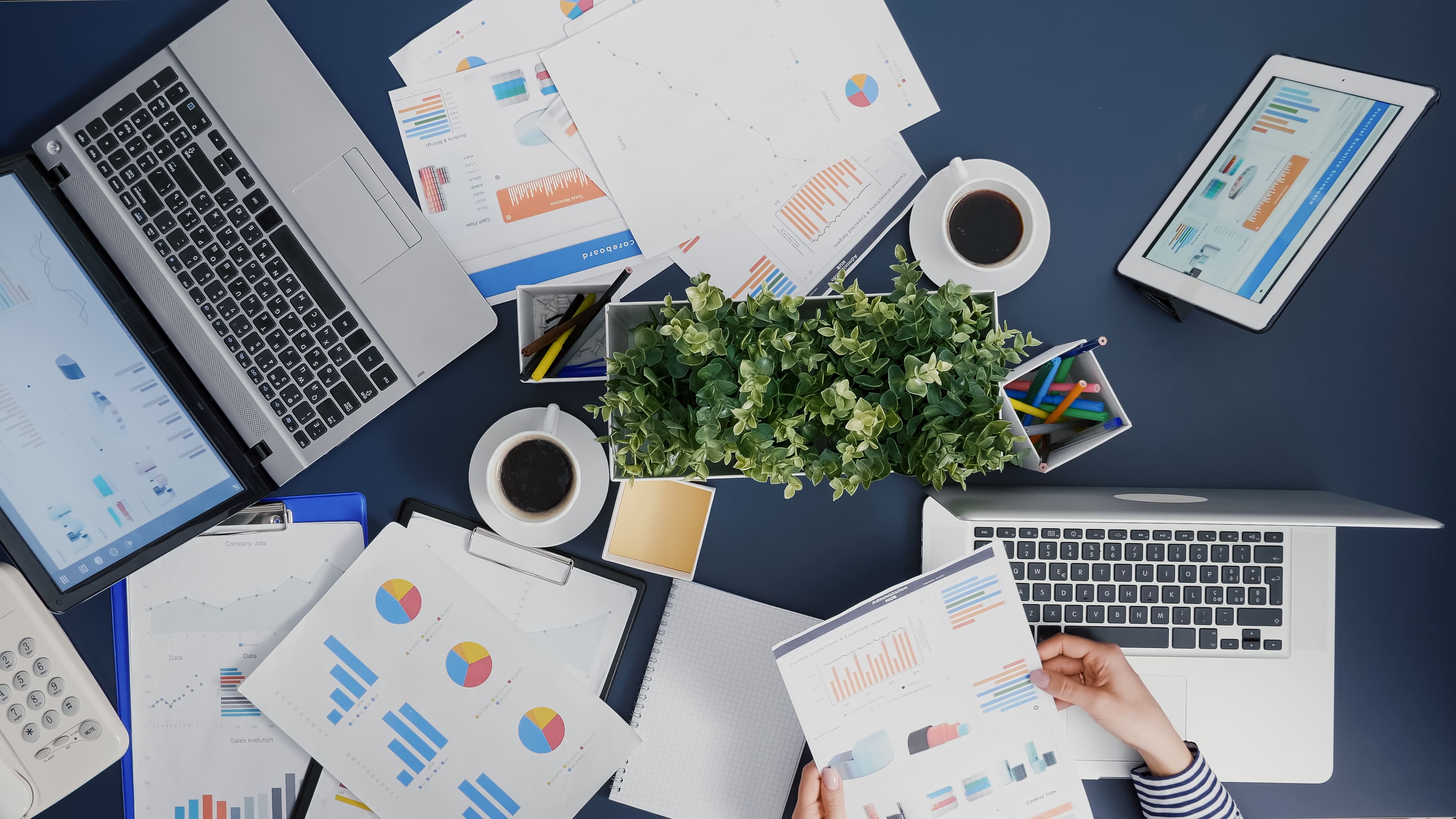 Speed Optimization & SEO