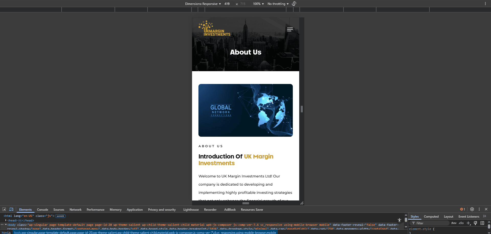 Project image 6
